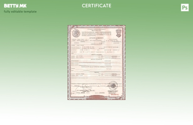 Модерен стил шаблон за извод од матична книга на родените во Мексико во шаблон з